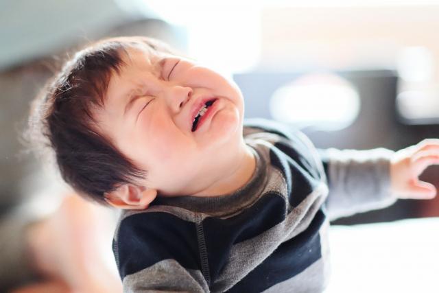 歯医者に行くのを嫌がる子供…歯医者さんはどうしてるの？